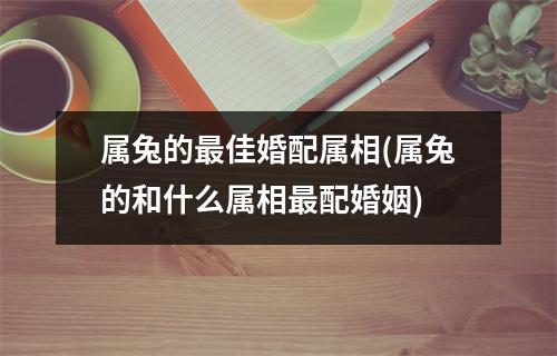 属兔的佳婚配属相(属兔的和什么属相配婚姻)