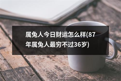 属兔人今日财运怎么样(87年属兔人穷不过36岁)