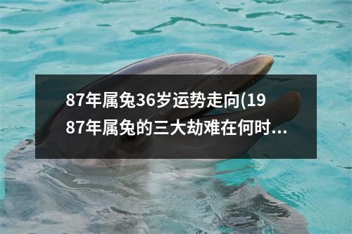 87年属兔36岁运势走向(1987年属兔的三大劫难在何时)