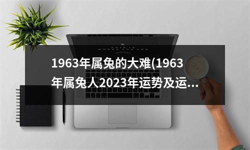 1963年属兔的大难(1963年属兔人2023年运势及运程)