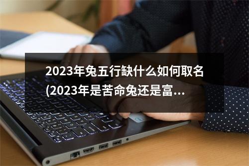 2023年兔五行缺什么如何取名(2023年是苦命兔还是富兔)