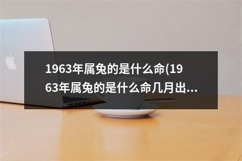 1963年属兔的是什么命(1963年属兔的是什么命几月出生的好)