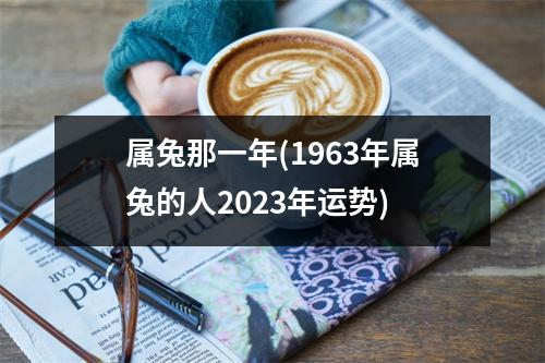 属兔那一年(1963年属兔的人2023年运势)