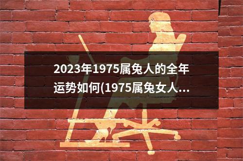 2023年1975属兔人的全年运势如何(1975属兔女人2023年全年运势详解)