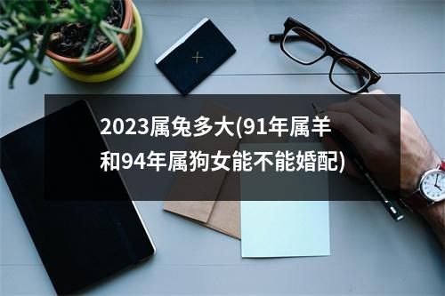 2023属兔多大(91年属羊和94年属狗女能不能婚配)