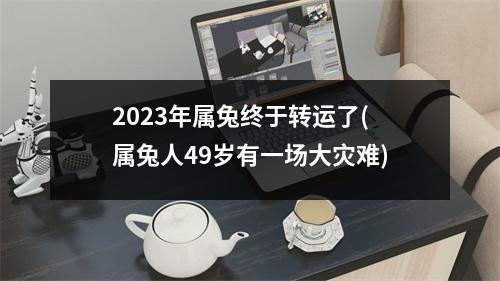 2023年属兔终于转运了(属兔人49岁有一场大灾难)