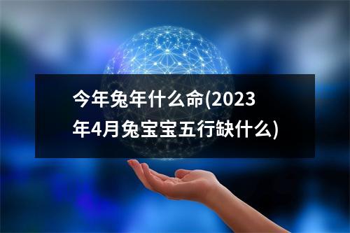 今年兔年什么命(2023年4月兔宝宝五行缺什么)