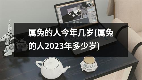 属兔的人今年几岁(属兔的人2023年多少岁)