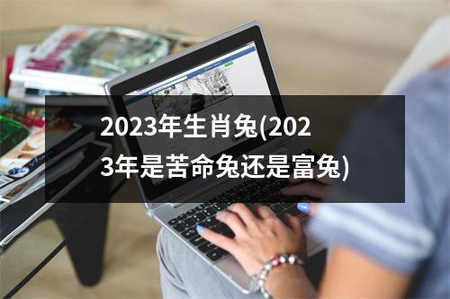 2023年生肖兔(2023年是苦命兔还是富兔)