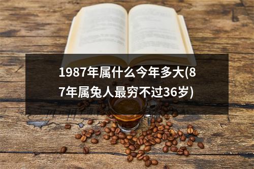 1987年属什么今年多大(87年属兔人穷不过36岁)