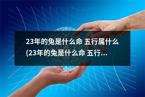 23年的兔是什么命 五行属什么(23年的兔是什么命 五行缺什么)