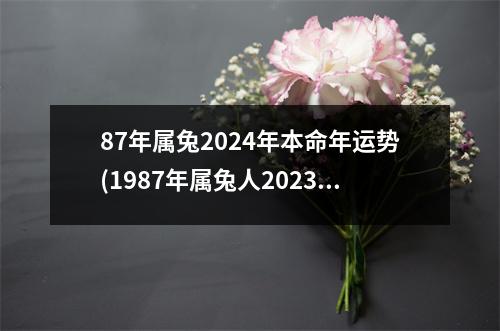 87年属兔2024年本命年运势(1987年属兔人2023年全年每月运势)