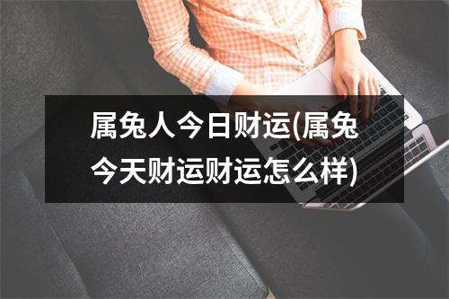 属兔人今日财运(属兔今天财运财运怎么样)