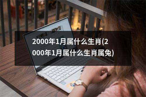 2000年1月属什么生肖(2000年1月属什么生肖属兔)