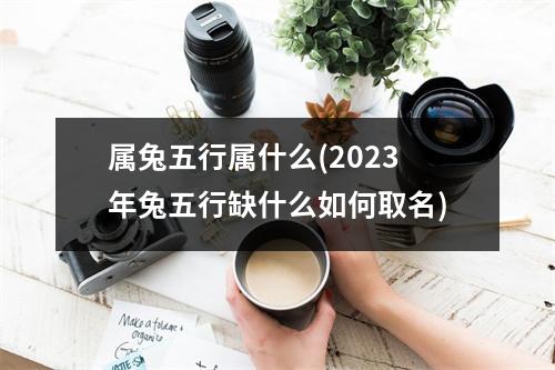 属兔五行属什么(2023年兔五行缺什么如何取名)