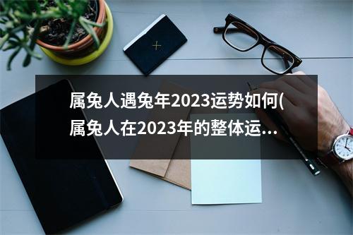 属兔人遇兔年2023运势如何(属兔人在2023年的整体运势如何)