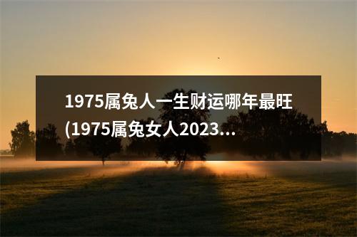 1975属兔人一生财运哪年旺(1975属兔女人2023年全年运势详解)