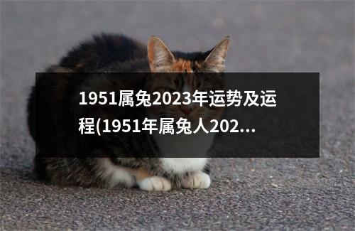 1951属兔2023年运势及运程(1951年属兔人2021年下半年运势咋样)