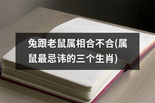 兔跟老鼠属相合不合(属鼠忌讳的三个生肖)