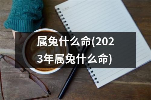 属兔什么命(2023年属兔什么命)