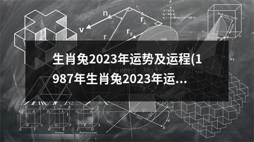 生肖兔2023年运势及运程(1987年生肖兔2023年运势及运程)