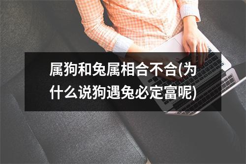 属狗和兔属相合不合(为什么说狗遇兔必定富呢)