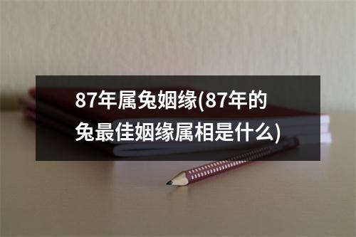 87年属兔姻缘(87年的兔佳姻缘属相是什么)