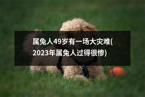 属兔人49岁有一场大灾难(2023年属兔人过得很惨)