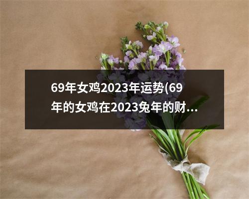 69年女鸡2023年运势(69年的女鸡在2023兔年的财运)