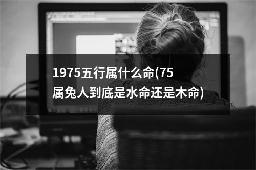 1975五行属什么命(75属兔人到底是水命还是木命)