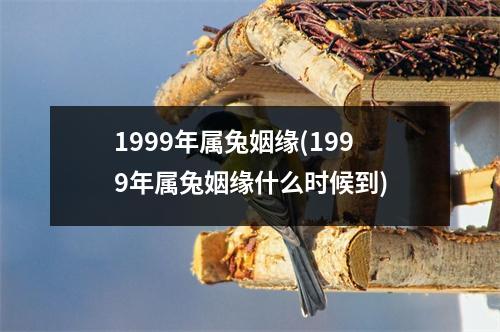 1999年属兔姻缘(1999年属兔姻缘什么时候到)