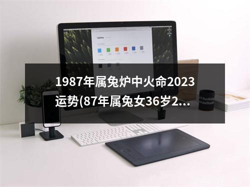 1987年属兔炉中火命2023运势(87年属兔女36岁2023运势)