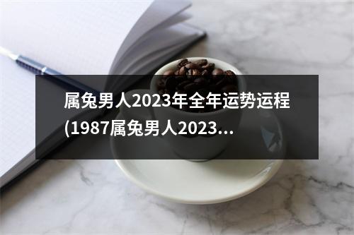 属兔男人2023年全年运势运程(1987属兔男人2023年全年运势运程)