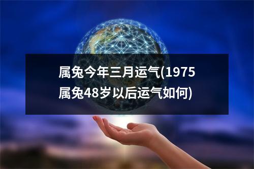 属兔今年三月运气(1975属兔48岁以后运气如何)