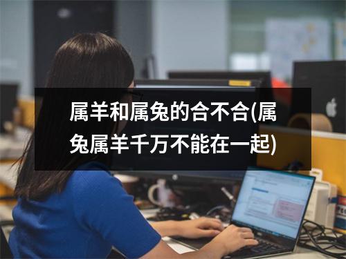 属羊和属兔的合不合(属兔属羊千万不能在一起)