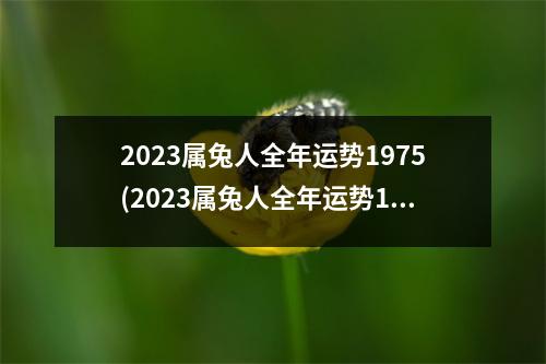 2023属兔人全年运势1975(2023属兔人全年运势1975佩戴兔手链)