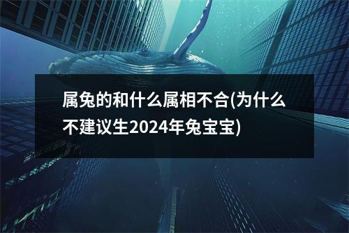 属兔的和什么属相不合(为什么不建议生2024年兔宝宝)