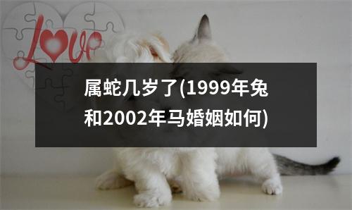 属蛇几岁了(1999年兔和2002年马婚姻如何)