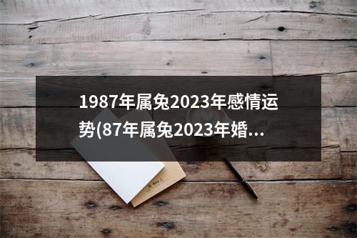 1987年属兔2023年感情运势(87年属兔2023年婚姻运势及运程及每月的运势)