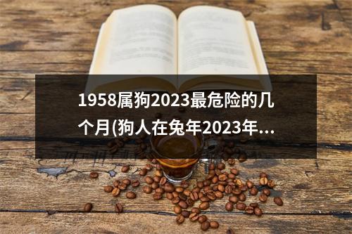 1958属狗2023危险的几个月(狗人在兔年2023年的运势如何)