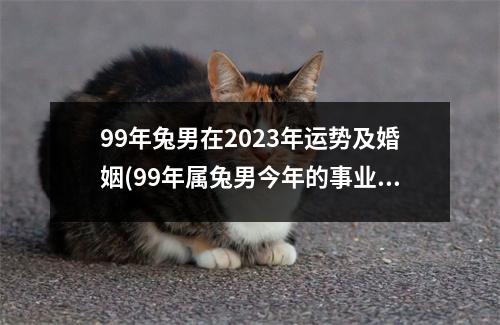 99年兔男在2023年运势及婚姻(99年属兔男今年的事业和婚姻)