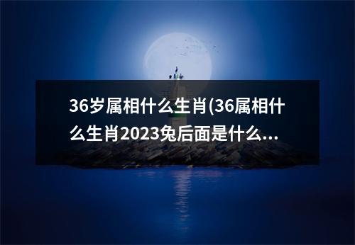 36岁属相什么生肖(36属相什么生肖2023兔后面是什么)