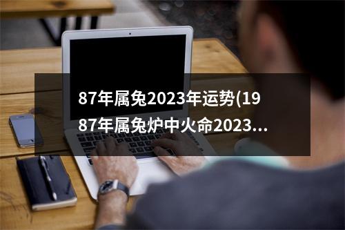 87年属兔2023年运势(1987年属兔炉中火命2023运势)