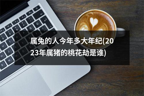 属兔的人今年多大年纪(2023年属猪的桃花劫是谁)