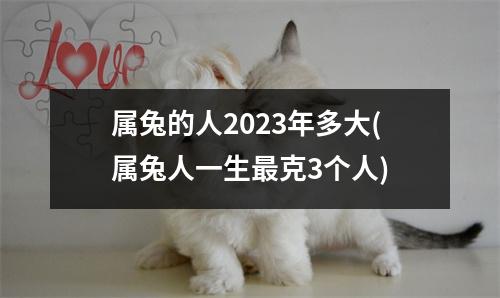 属兔的人2023年多大(属兔人一生克3个人)