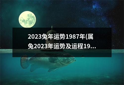 2023兔年运势1987年(属兔2023年运势及运程1987年的兔)