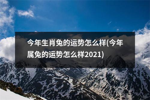 今年生肖兔的运势怎么样(今年属兔的运势怎么样2021)