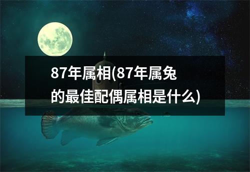 87年属相(87年属兔的佳配偶属相是什么)