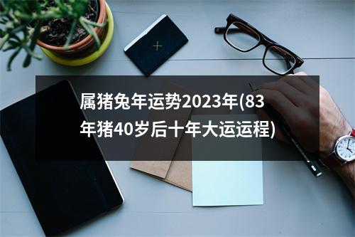 属猪兔年运势2023年(83年猪40岁后十年大运运程)