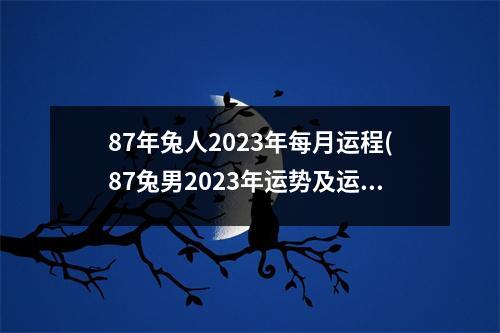 87年兔人2023年每月运程(87兔男2023年运势及运程每月运程)